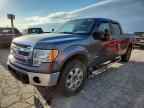 2013 FORD F-150 Lightning