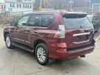 2014 LEXUS GX 460