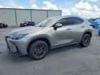 2024 LEXUS NX 250