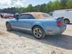 2006 FORD MUSTANG