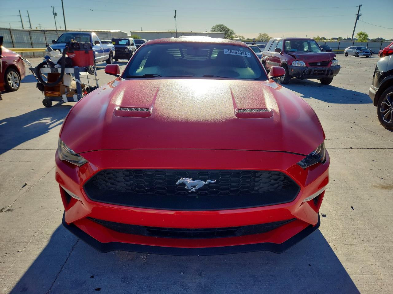 2019 FORD MUSTANG