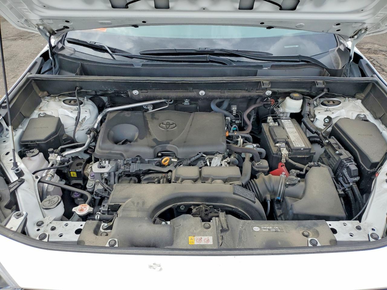 2019 TOYOTA RAV4