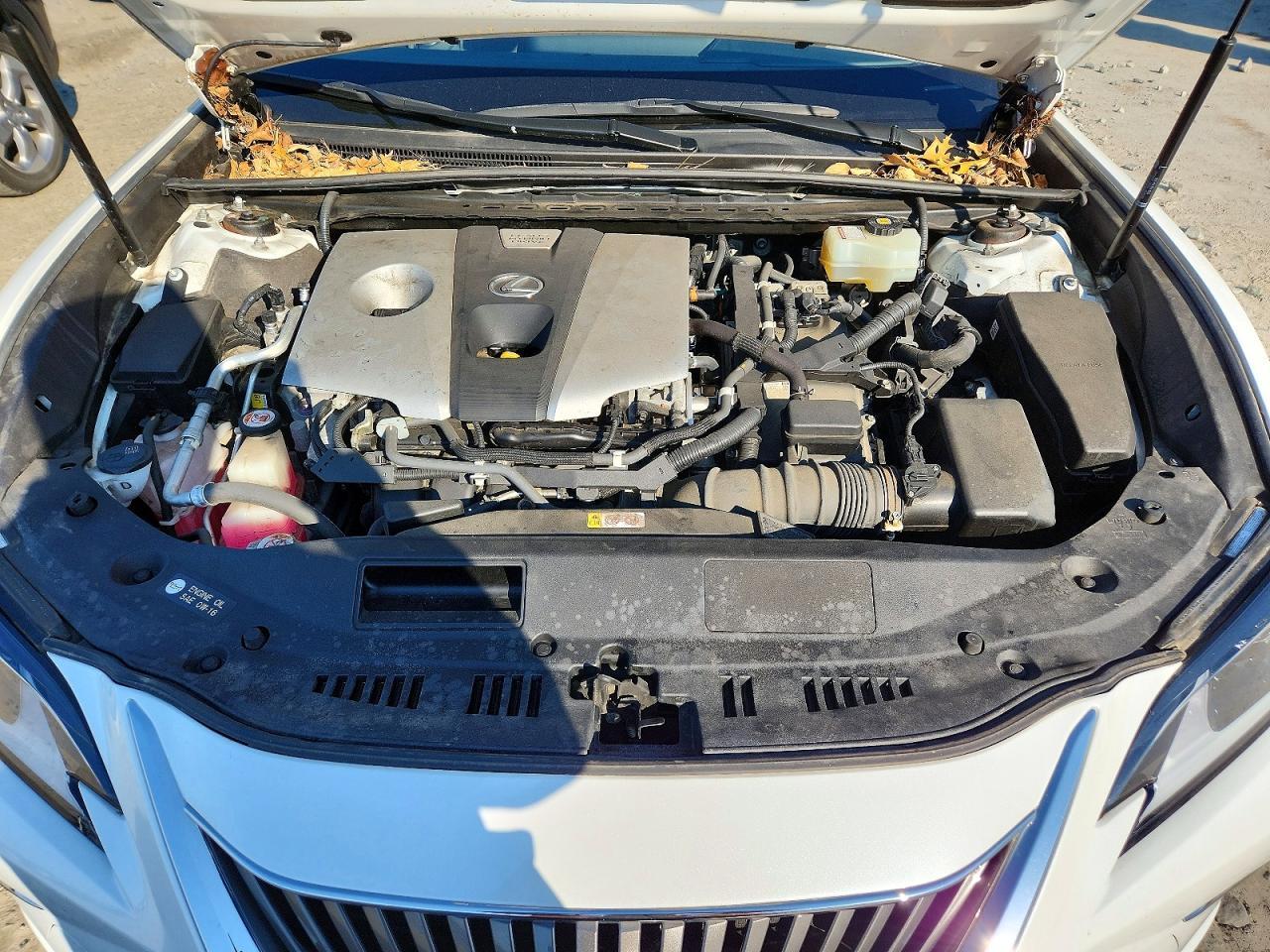 2019 LEXUS ES 300H