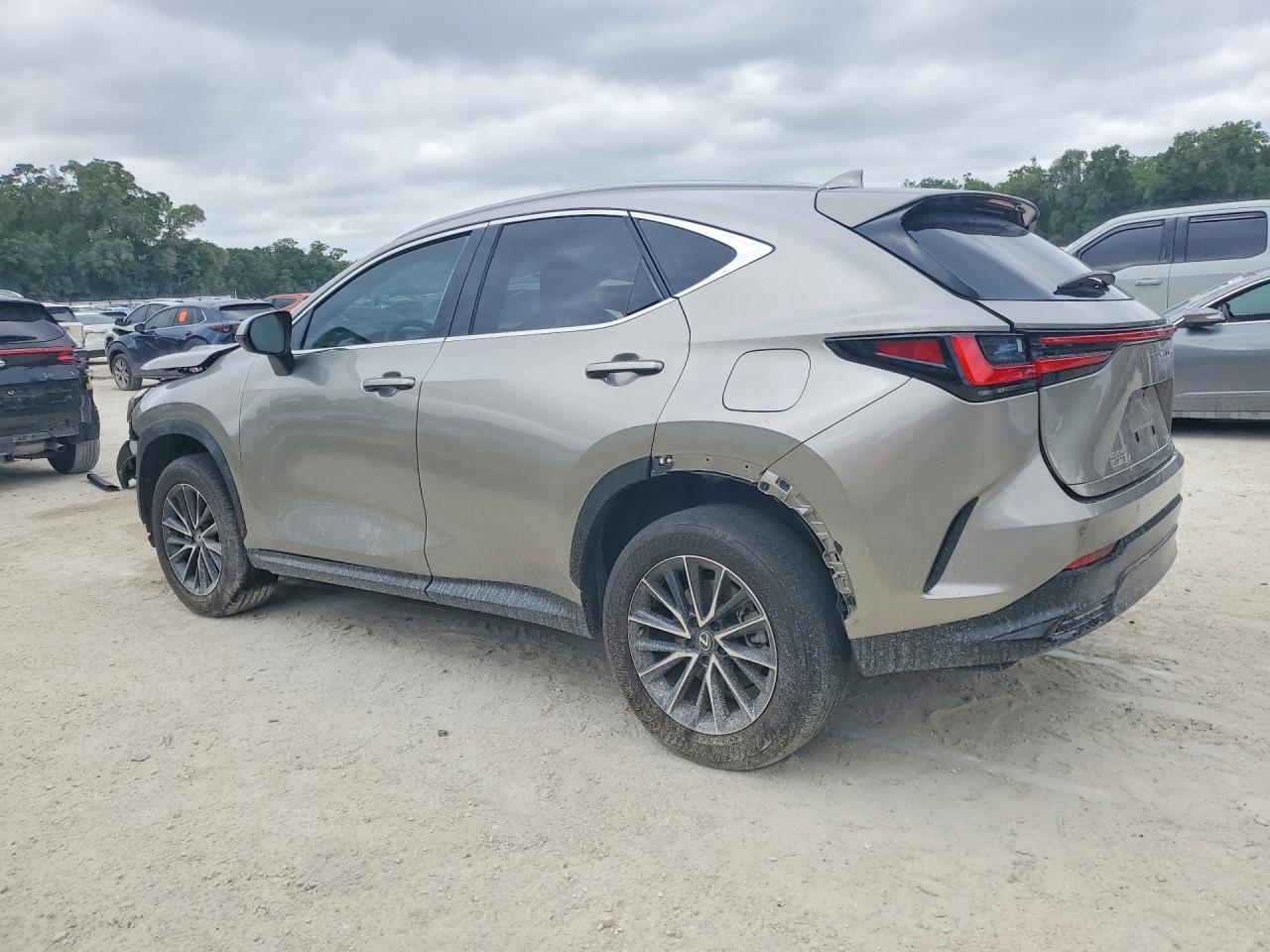 2024 LEXUS NX 350