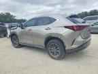 2024 LEXUS NX 350