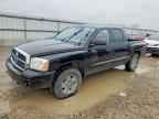2005 DODGE Dakota