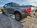 2013 FORD F-150 Lightning