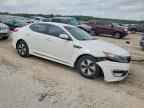 2012 KIA Optima Hybrid