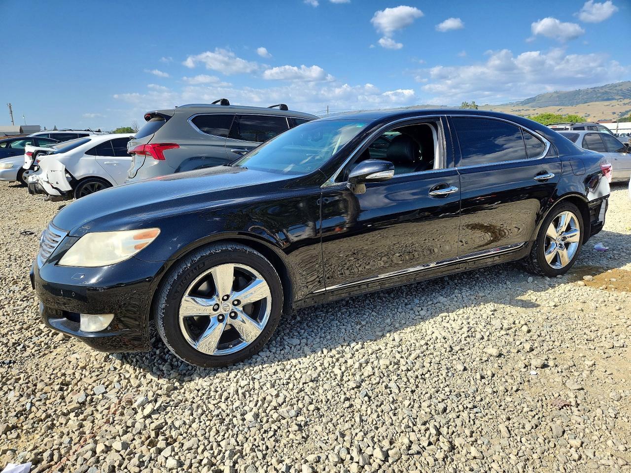2010 LEXUS LS 460