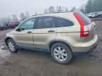 2007 HONDA CR-V