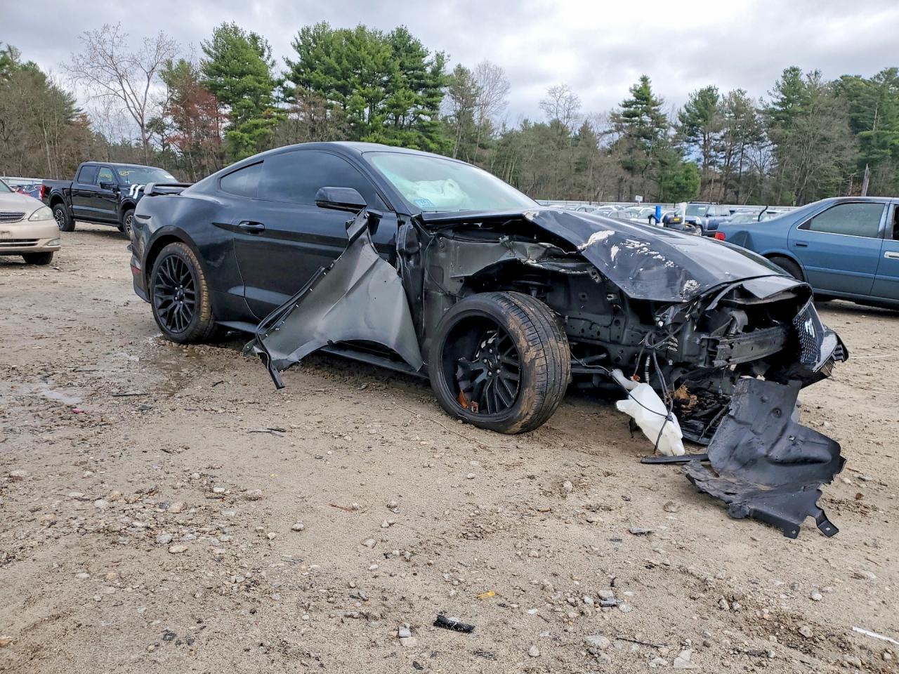2019 FORD MUSTANG