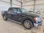 2013 FORD F-150 Lightning