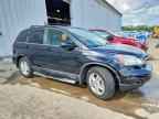 2010 HONDA CR-V