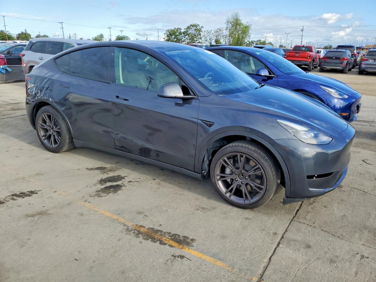 2025 TESLA MODEL Y