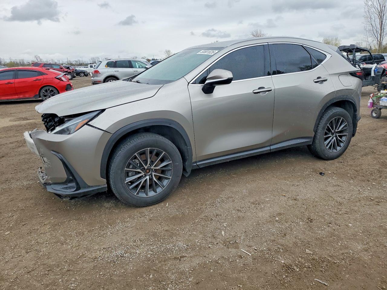 2023 LEXUS NX 250