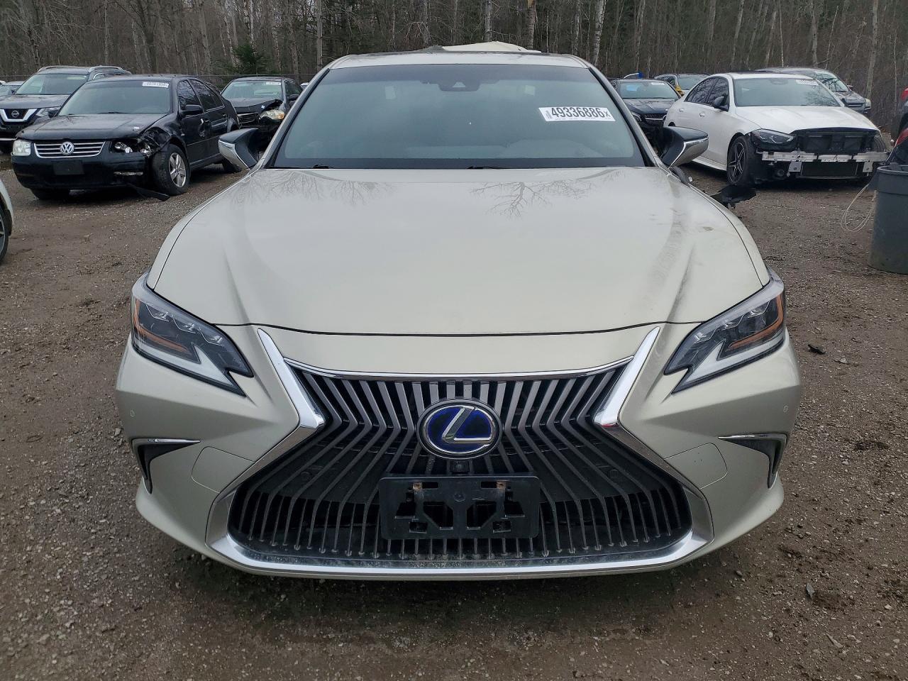 2019 LEXUS ES 300H