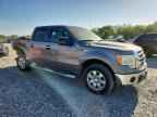 2009 FORD F-150 Lightning