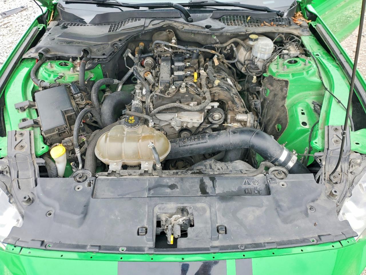 2019 FORD MUSTANG