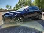 2024 LEXUS RX 350