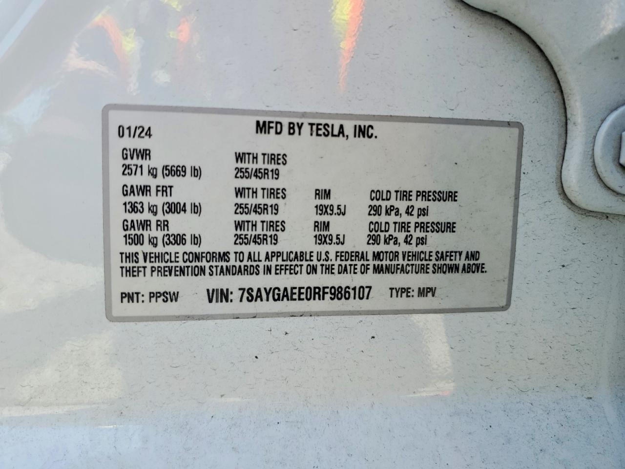2024 TESLA MODEL Y