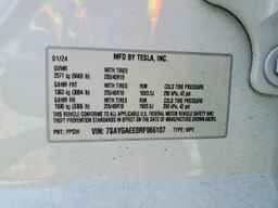 2024 TESLA MODEL Y