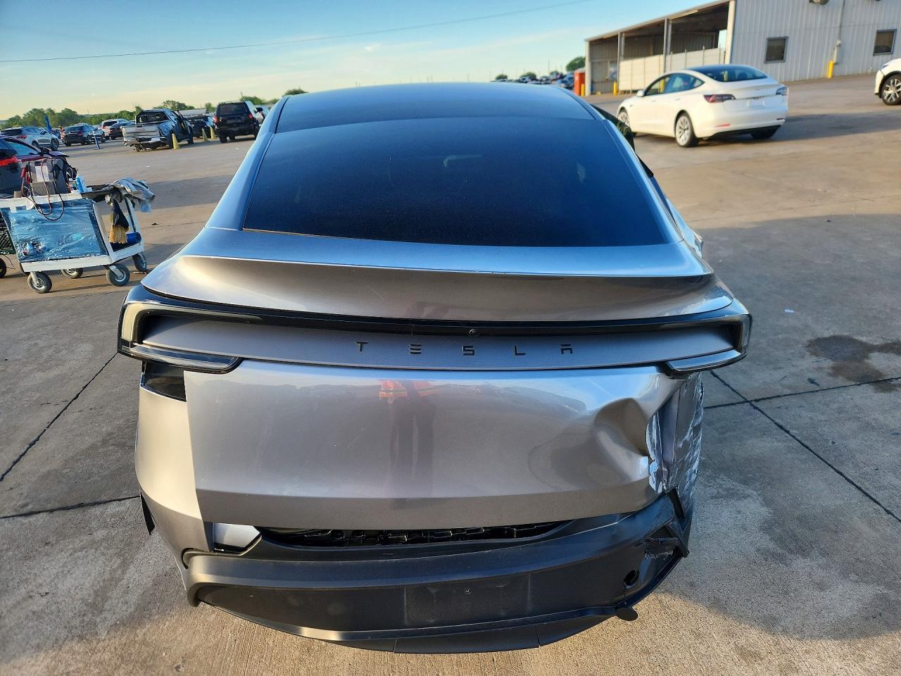 2026 TESLA Model Y