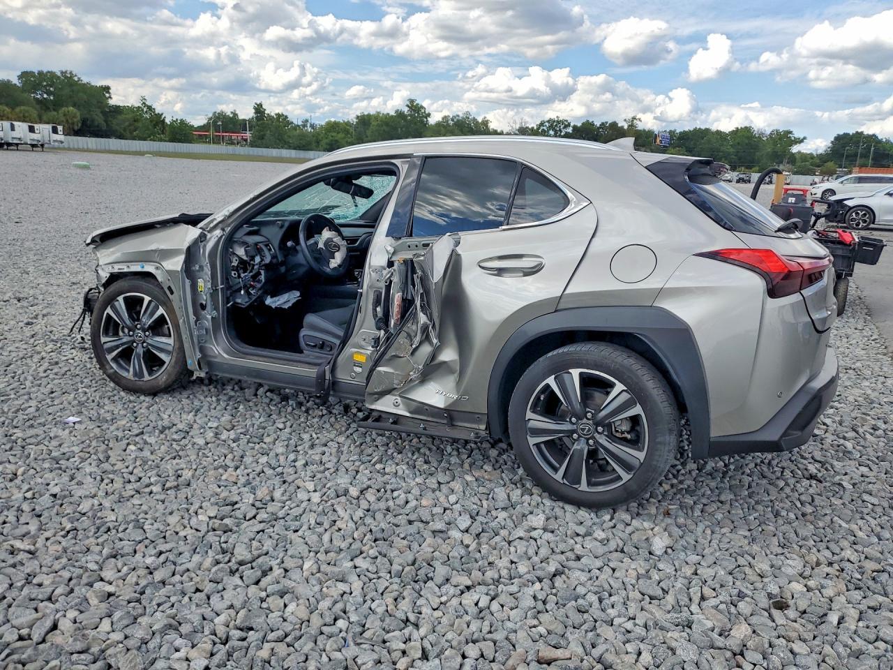 2019 LEXUS UX 250H