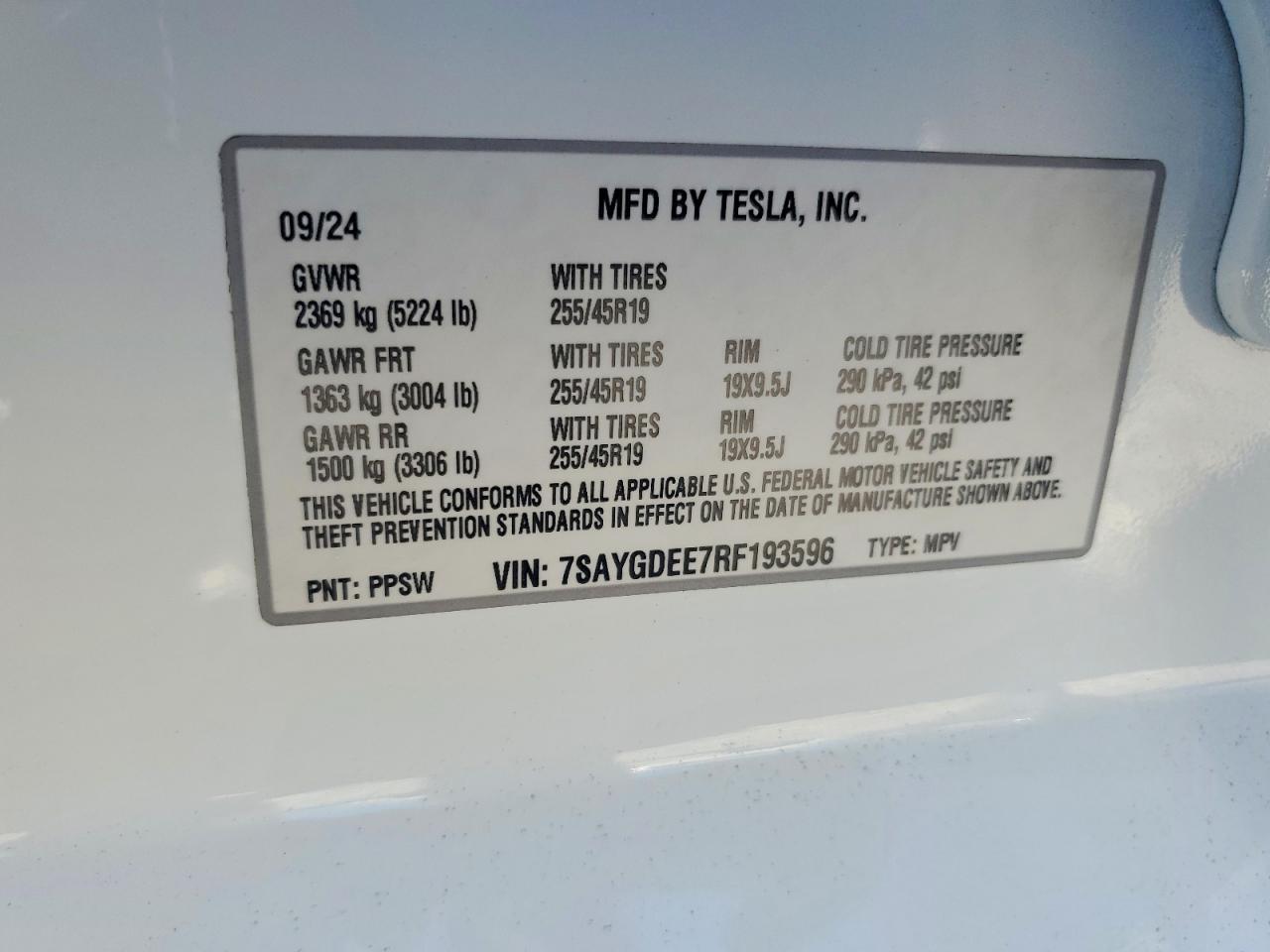2024 TESLA MODEL Y