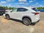 2019 LEXUS NX 300