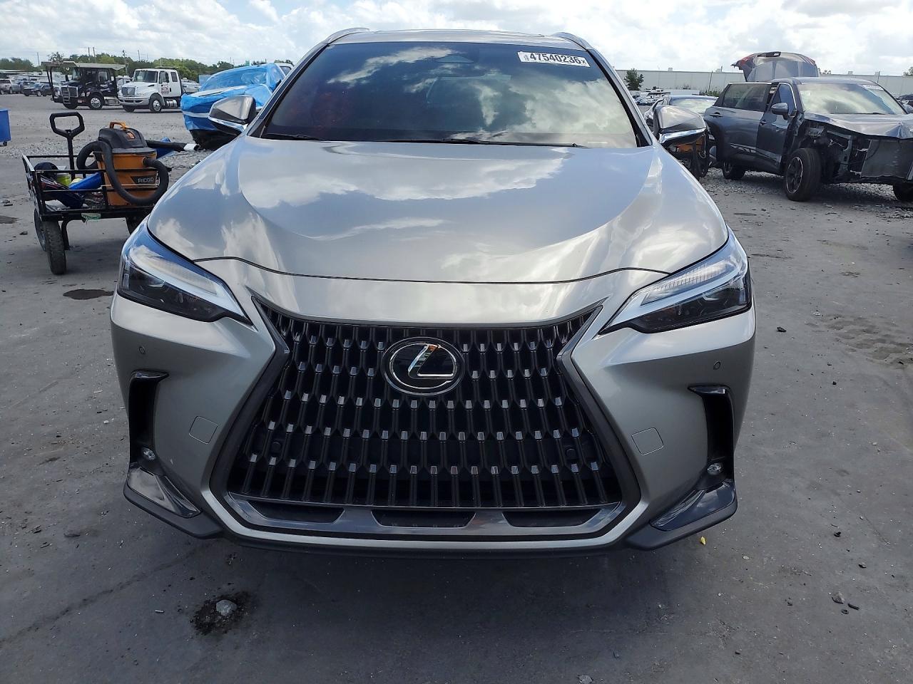 2024 LEXUS NX 250