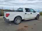 2010 FORD F-150 Lightning