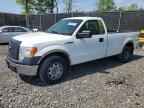 2013 FORD F-150 Lightning