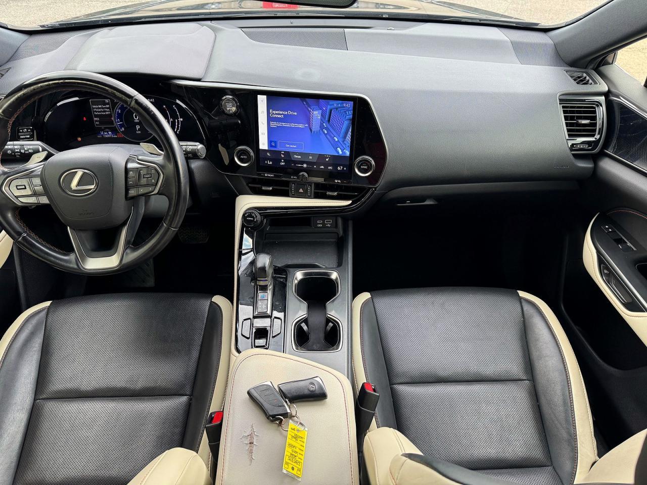 2022 LEXUS NX 250