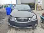 2010 LEXUS IS 250