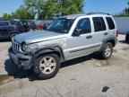 2004 JEEP Liberty