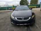 2009 HONDA ACCORD
