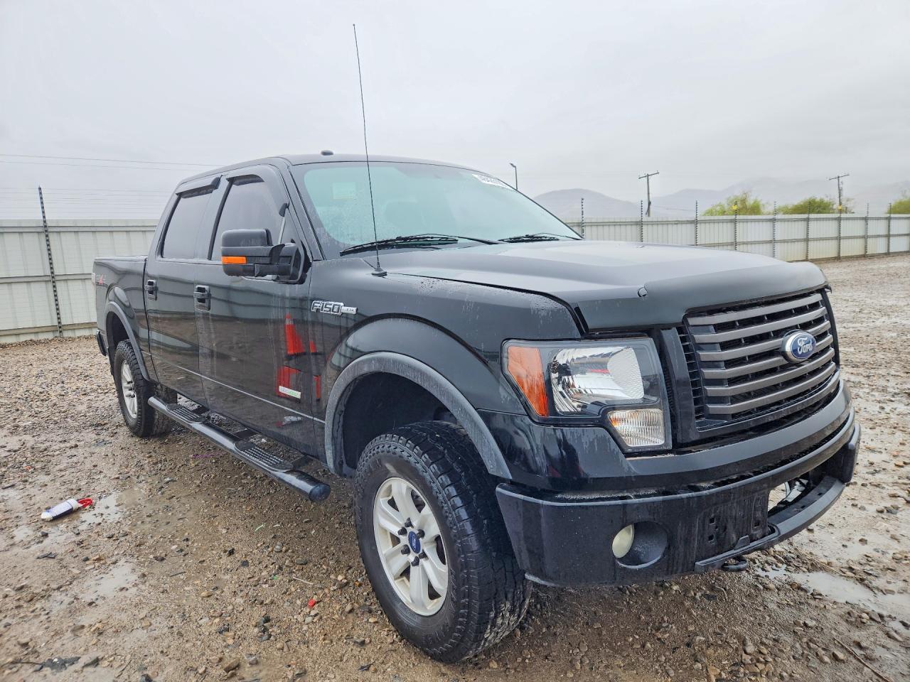 2011 FORD F-150 Lightning