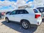 2014 KIA SORENTO