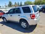 2010 FORD ESCAPE