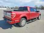 2010 FORD F-150 Lightning