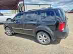 2009 HONDA PILOT