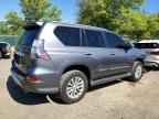 2017 LEXUS GX 460