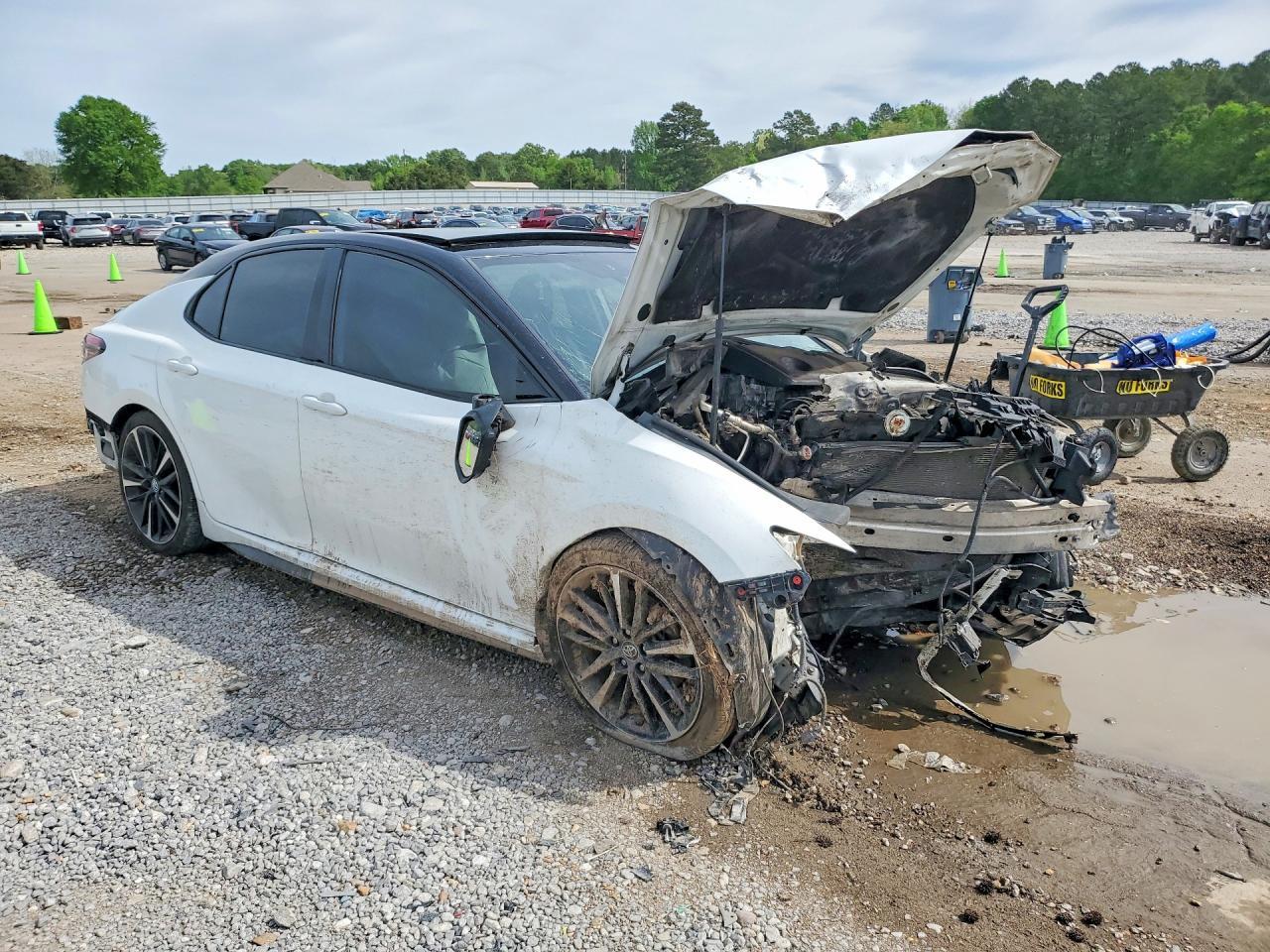 2019 TOYOTA CAMRY