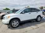 2010 HONDA CR-V
