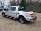 2010 FORD F-150 Lightning