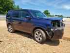 2013 HONDA PILOT