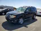 2010 FORD ESCAPE