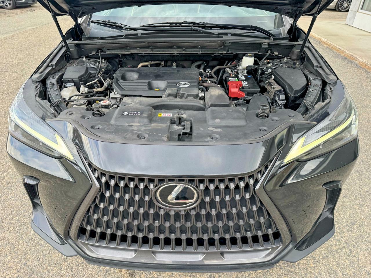 2022 LEXUS NX 250