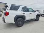 2025 TOYOTA 4Runner