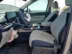 2026 KIA Carnival